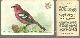  Advertisement, Victorian Trade Card for Church and Dwight Cow Brand Baking Soda, Useful Birds of America Series, the White-Winged Crossbill