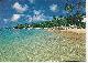  Postcard, Large Postcard of Cobblers Cove, Barbados