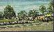  Postcard, Dandee Cottages, Winter Park, Florida