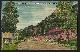  Postcard, Mcgregor Heights Cottages, Estes Park, Colorado