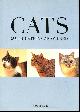 0753715171 DR DAVID SANDS, Cats 500 Questions Answered