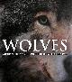 1445456648 SHAUN ELLIS & MAGGIE LOFTS (EDITOR), Spirit of Wolves