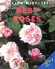 0600583406 BUCZACKI, DR STEFAN; GARDENING, AMATEUR, Best Roses (Best Gardening)