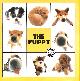 1844424790 CARLTON, The Puppy