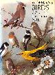  JAMES FISHER; ARCHIBALD THORBURN [ILLUSTRATOR], Thorburn's Birds