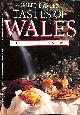 0563360437 DAVIES, GILLI, Tastes of Wales