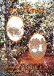Click to enlarge 1560466292,