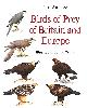 019217729X WALLACE, IAN; WILLIS, IAN [ILLUSTRATOR]; CRAMP, STANLEY [FOREWORD];, Birds of Prey in Britain and Europe