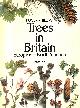 0330254804 PHILLIPS, ROGER; GRANT, SHEILA; WELLSTED, TOM [EDITOR]; WHITE, JOHN [ILLUSTRATOR];, Trees in Britain, Europe and North America