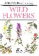 0706404742 AICHELE, DIETMAR, Field Guide To Wild Flower