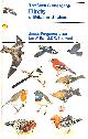 0718122208 LEES-FERGUSON, JAMES; WILLIS, IAN; FERGUSON-LEES, JAMES; SHARROCK, J. T. R., The Shell Guide to the Birds of Britain And Ireland