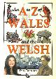 0715407341 TERRY BREVERTON, An A-Z of Wales and the Welsh