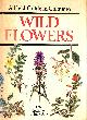 0706404742 AICHELE, DIETMAR, Field Guide To Wild Flower