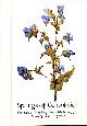 0855322187 EPICURUS, KIERKEGAARD, MICHELANGELO, SHAKESPEARE, TURGENEV, Springs of Consolation (Springs of wisdom)