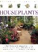 1851528415 SQUIRE, DAVID & CROWTHER, MARGARET, Houseplants : Practical Gardening