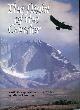 0002195453 ANDREWS, MICHAEL ALFORD, The Flight of the Condor : A Wildlife Exploration of the Andes