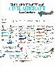 0002181487 ANGELUCCI, ENZO AND MATRICARDI, PAOLO, The World Encyclopedia of Civil Aircraft