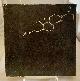  SYNTEX CORPORATION, A Corporation and a Molecule the Story of Research at Syntex