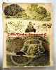  Von Engleder - Matzdorff  / wall chart / Schoolplaat / School Poster / School chart / Teaching chart, poster / schoolkaart, ( SCHOOLPLAAT ) Egel, Mol