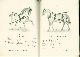  Bingham Harness Co, Manefactures of Harness, Horse collars and saddlery. Catalogue N0 5 ( including pricelist no 26 October 1913 )