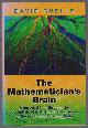 9780691190303 David Ruelle, The Mathematician's Brain: A Personal Tour through the Essentials of Mathematics and Some of the Great Minds behind Them