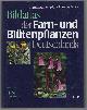 9783800133642 Henning Haeupler, Bildatlas der Farn- und Blutenpflanzen Deutschlands