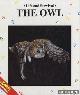  Lesaffre, Guilhem, Life and Survival: The Owl
