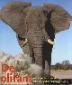  Saller, Martin, De olifant in de natuur- en de cultuurgeschiedenis