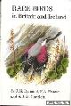  Dymond, J.N. & P.A. Fraser & S.M.M. Gantlett, Rare birds in Britain and Ireland