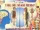  Brook, John H.R. (eduted by), My first book of the human body. See inside the human body with this fascinating early learning guide