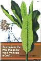  Densmore, Frances, How Indians Use Wild Plants for Food, Medicine & Crafts