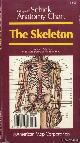  Various, Schick Anatomy Chart: The Skeleton: bones, arteries, pressure points of main arteries