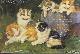  Diverse auteurs, Kattenschilderijen: 20 wenskaarten voor iedere gelegenheid