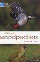  Gorman, Gerard, RSPB Spotlight: Woodpeckers