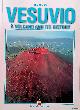  Abatino, Elio, Vesuvio. A volcano and its history