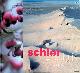  Elfring, Rob, Schier Zintuiglijk: intuïtieve zwerftocht door de landschappen van Schiermonnikoog