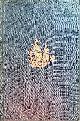  Posthumus Meyjes, R. (uitgegeven door), De reizen van Abel Janszoon Tasman en Franchoys Jacobszoon Visscher ter nadere ontdekking van het Zuidland in 1642/3 en 1644. Met 10 kaarten en 68 schetskaarten, landverkenningen en platen