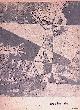 1564913828, 