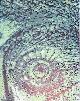  1564915066, 