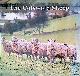  Gibbings, L.V. (editor), The Cotswold Sheep