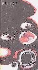 1568382602, 