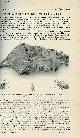  Collectif, La nature n° 1918 - Un nid d'araignées employé comme piège à mouche par Coupin, Le puits artésien de Maisons-Lafitte par Lemoine, La résistance de l'air: nouvelles expériences de Gustave Eiffel par Fournier, Le banc d'épreuve des armes à St Etienne