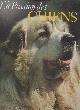 2700001710 Boorer Wendy, Holmes John, Osborne Margare,..., La Passion des chiens