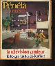  COLLECTIF, diarte sylvie, caumont max, chadenet..., Penela et sa maison N°40, fevrier 1971- la television couleur - le design - toutes les fondues- catherine paysan sur mardi gras et le carnaval, des travestis pour les enfants, psychologie du deguisement- des bijoux vivants, des tapis a tricoter, ...