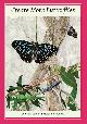 0975713809 Frank Jordan; Helen Schwencke, Create More Butterflies: A guide to 48 butterflies and their hostplants for south-east Queensland and northern New South Wales