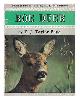  Page, Frederick James Taylor, Roe deer