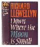  Llewellyn, Richard, Down where the moon is small / [by] Richard Llewellyn