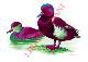 Click to enlarge 1530836852,