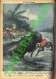  PISANI Vittorio -, Sulla sponda dell'Uebi Scebeli un ippopotamo si è slanciato contro alcuni ragazzi somali che stavano in riva al fiume, ne ha addentato uno e se l'è portato sott'acqua. Della vittima nessuna traccia.