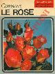  (BINELLI Claudia) -, Le rose.